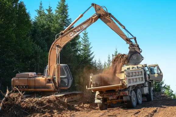 בזיבט קזינו תמיכה